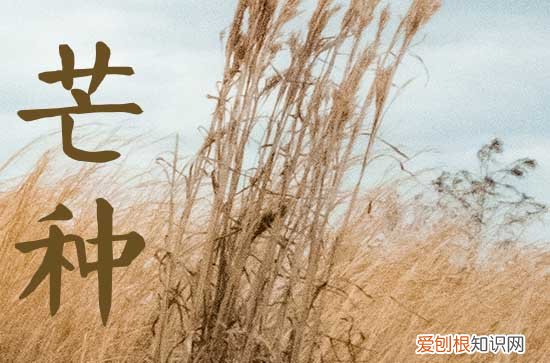 芒种一般是在阳历的几月