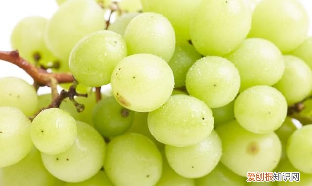 种植阳光玫瑰葡萄需要无核处理吗