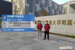 房子空置会饿死蟑螂吗