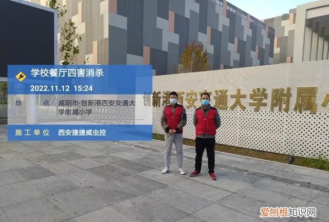 房子空置会饿死蟑螂吗