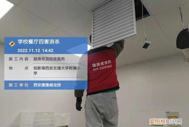 房子空置会饿死蟑螂吗