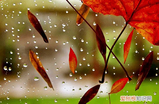 2023年入梅、出梅分别什么时候