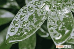 2023年入梅出梅时间表