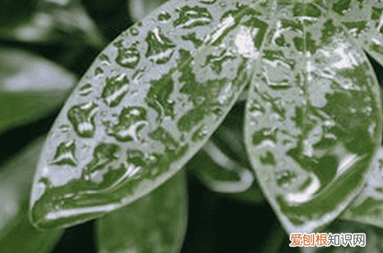 2023年入梅出梅时间表