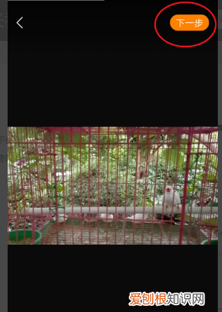 快手长如何发，快手怎么发长图