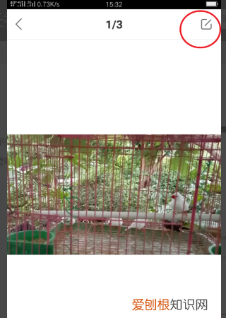 快手长如何发，快手怎么发长图