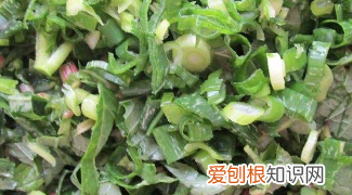 野菜馅饼做法，野菜做法之野苋菜鸡蛋水饺