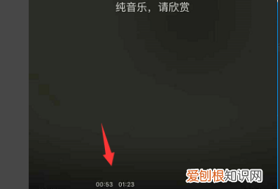 苹果手机怎么设置网易云的铃声，网易云音乐怎样设置苹果手机铃声