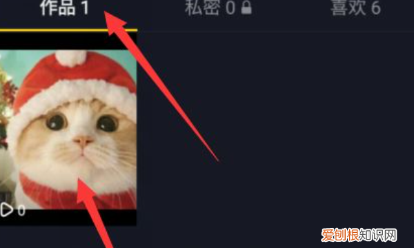 抖音发布的作品怎么删除，怎么删除抖音里面已经发表的作品