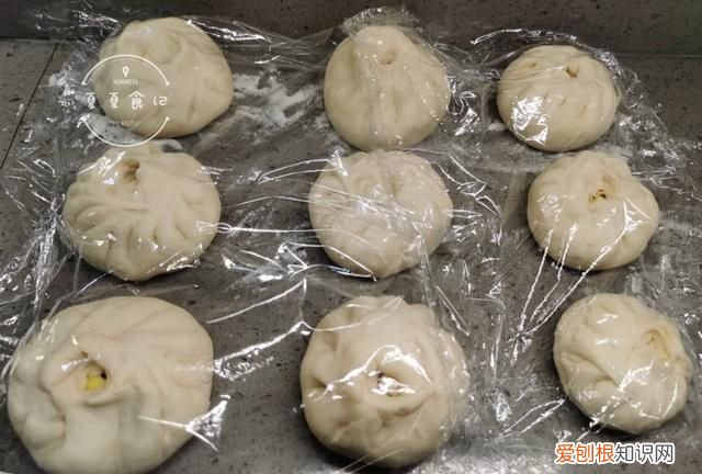 包子发的好蒸出来硬是什么原因,做包子需要发酵的方法