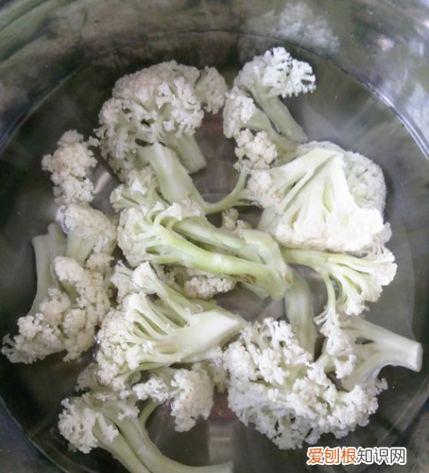 回锅肉有哪些配菜,回锅肉和什么菜炒最好