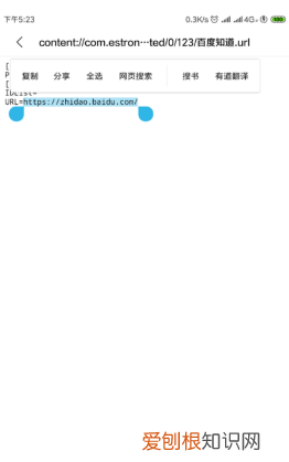 手机如何打开url，安卓手机如何打开url文件