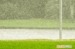 2023年安徽入梅是哪一天