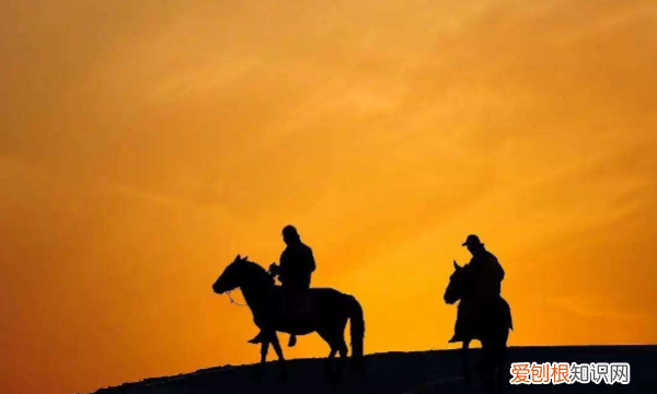 不教胡马度阴山体会到什么