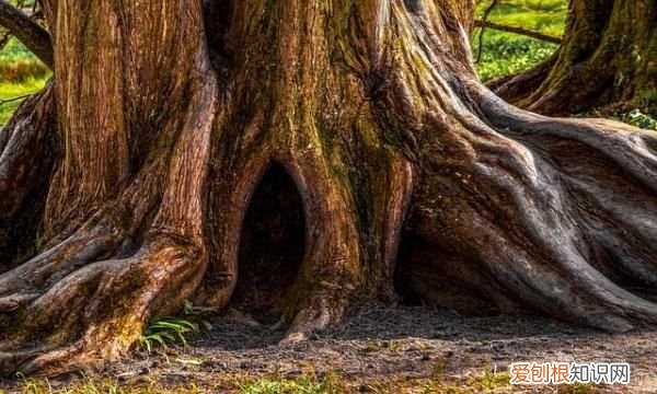 不教胡马度阴山体会到什么