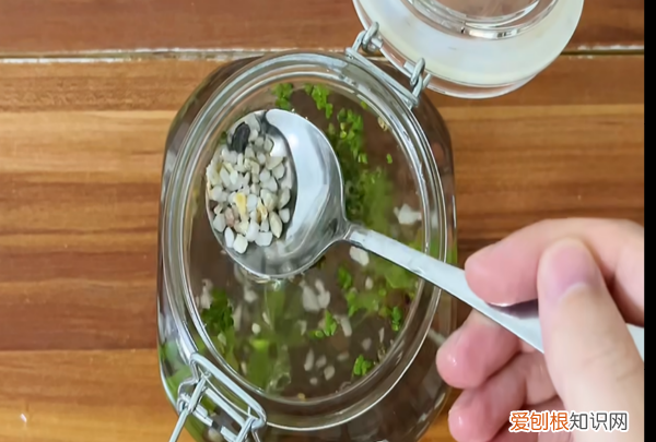 生态瓶怎么做，如何制作简易生态瓶