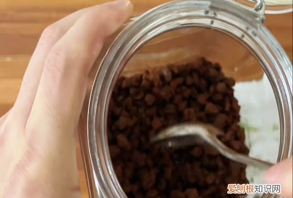 生态瓶怎么做，如何制作简易生态瓶