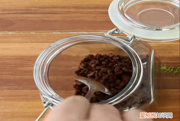 生态瓶怎么做，如何制作简易生态瓶