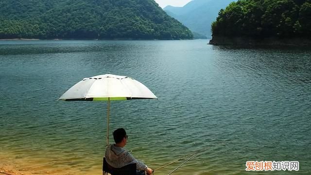 夏日垂钓用什么换,东北夏天野钓鲤鱼用什么商品饵