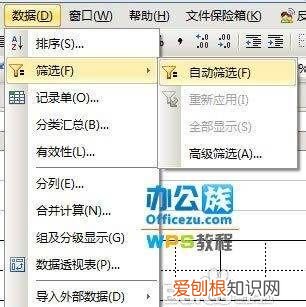 Word怎么弄田字格,wps怎么制作拼音田字格