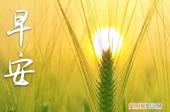 最舒服的早晨说说心情 给女朋友发的早安简短句子