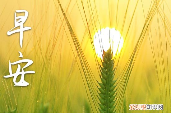 最舒服的早晨说说心情 给女朋友发的早安简短句子