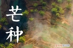 什么时候芒种2023