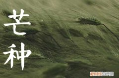 2023年的芒种是哪一天,2023年芒种属于几月