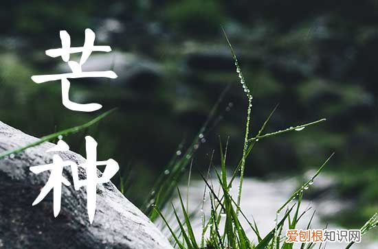 今年几号芒种,2023芒种是哪一天什么时间