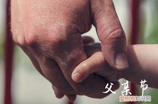 90句 感恩父亲节的语句