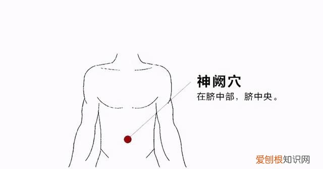 清心养肺的食疗方法