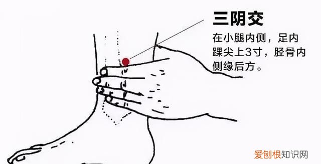 清心养肺的食疗方法