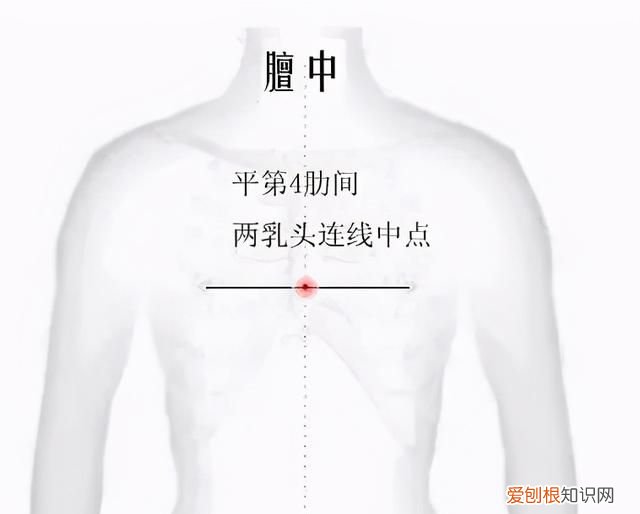 清心养肺的食疗方法