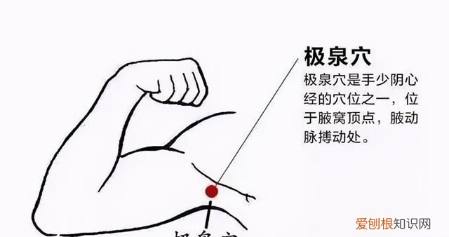 清心养肺的食疗方法