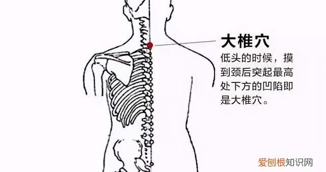 清心养肺的食疗方法