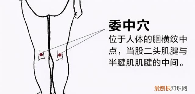 清心养肺的食疗方法
