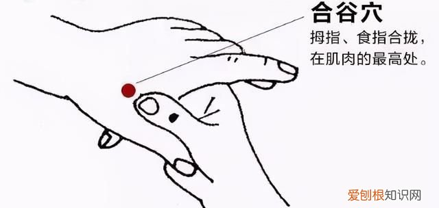 清心养肺的食疗方法