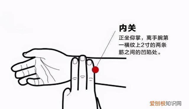 清心养肺的食疗方法
