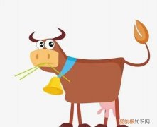 聪明的野牛告诉我们什么道理