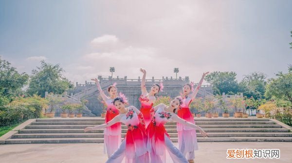 零基础学习舞蹈怎么办，四十岁想学跳舞零基础怎么办