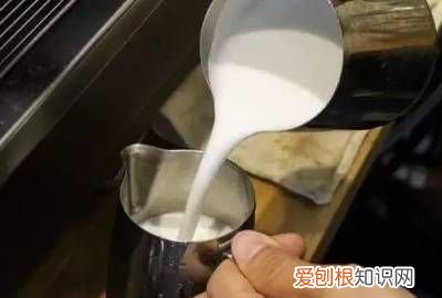 打奶泡机器怎么用 ，奶泡机用法？