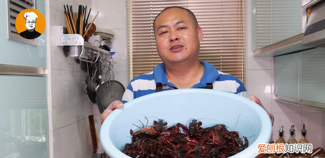 波士顿龙虾怎么保存时间长一点 龙虾怎么保存到下半年吃