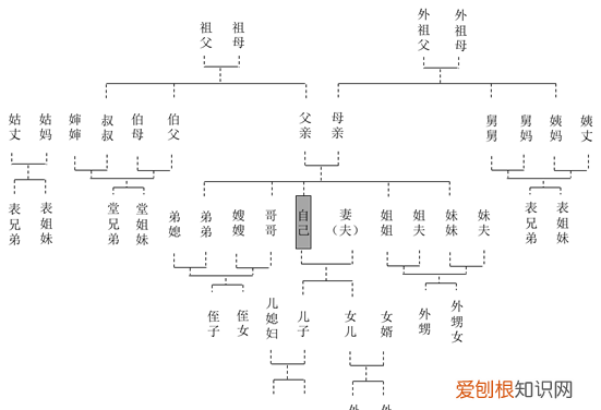 叔叔家的儿子是堂还是表