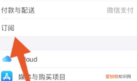 爱奇艺自动续费如何取消,爱奇艺续费怎么取消自动续费苹果手机