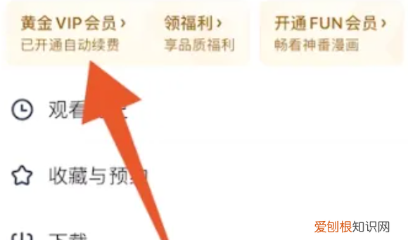 爱奇艺自动续费如何取消,爱奇艺续费怎么取消自动续费苹果手机