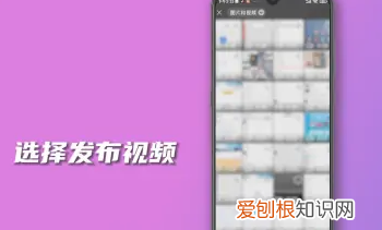 微信号怎么发作品,微信删的好友怎么找微信号