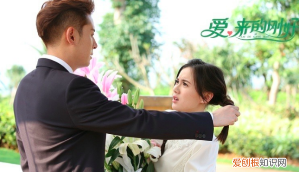 段天朗是什么电视剧