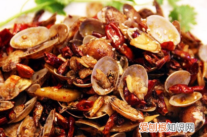 养花甲要给花甲吃东西吗,花甲如何养着不会死