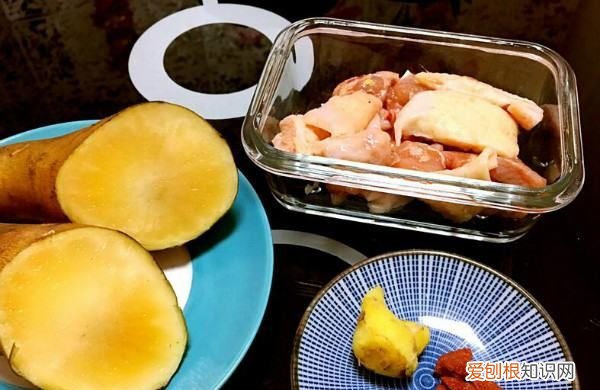 雪莲果排骨汤的做法，雪莲果能煲排骨汤吗