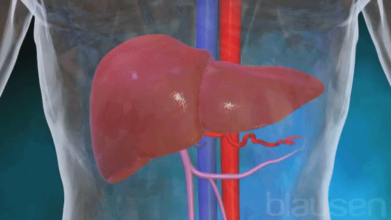 vegtometo解酒糖怎么样有副作用吗